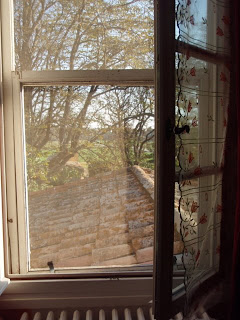 window view