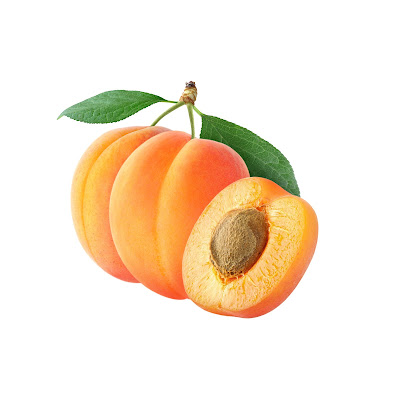 70+ Cartoon images of Apricot fruit