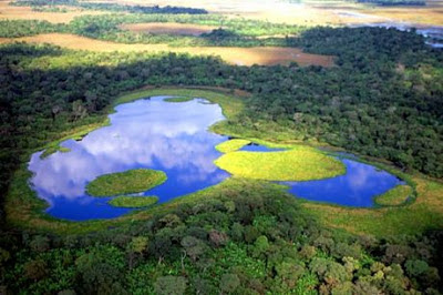 qual a melhor epoca para visitar Pantanal