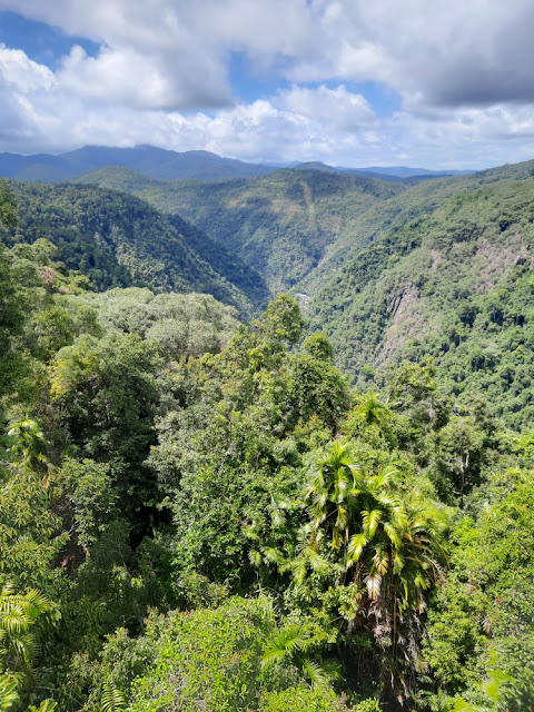 VIEW OVER BARRON FALLS FROM SKYRAIL