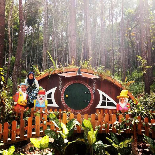 Daftar Wisata dengan Rumah Hobbit Paling Keren di Indonesia
