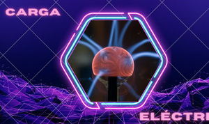 CARGA ELÉCTRICA