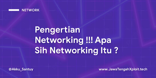 Pengertian Networking