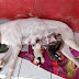 Parto de cachorra vira lata durou 7 dias e nasceram 11 filhotes, em Santana dos Garrotes. Veja Vídeo!