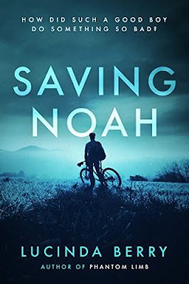 Saving Noah, Lucinda Berry,