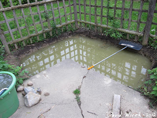 pond after rain, full of water, water didn't leak through clay