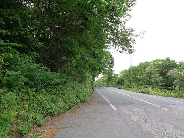 大山環状道路まで出ましたので引き返します