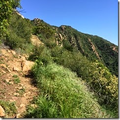 IMG_3534