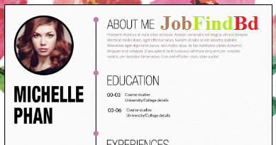 Cv Bangladeshi Bangla Cv Format Pdf Download