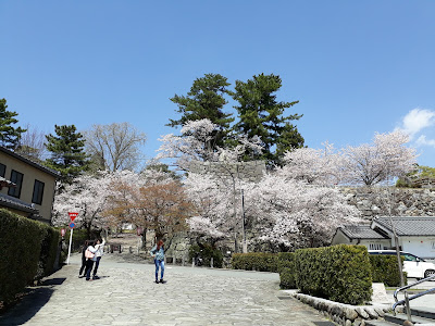 Matsusaka Castle ruins hanami 2017