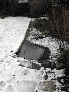 Slushy Lenten Garden Pool