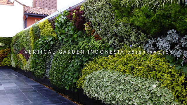 VERTICAL GARDEN INDONESIA SPESIALIS JASA PEMBUATAN VERTICAL GARDEN DI TANGERANG DAN DI SELURUH WILAYAH TANGERANG DENGAN TENAGA YANG PROFESIONAL DAN DAPAT DI PERCAYA YANG SELALU MENGUTAMAKAN SEBUAH MUTU DAN KUALITAS PEMASANGAN VERTICAL GARDEN/TAMAN DINDING, JASA TUKANG TAMAN VERTICAL TANGERANG, JASA VERTICAL GARDEN TANGERANG