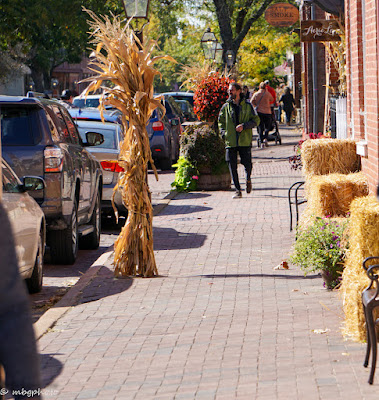 fall harvest decorated sidewalk