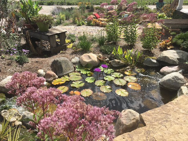 every water feature needs landscaping