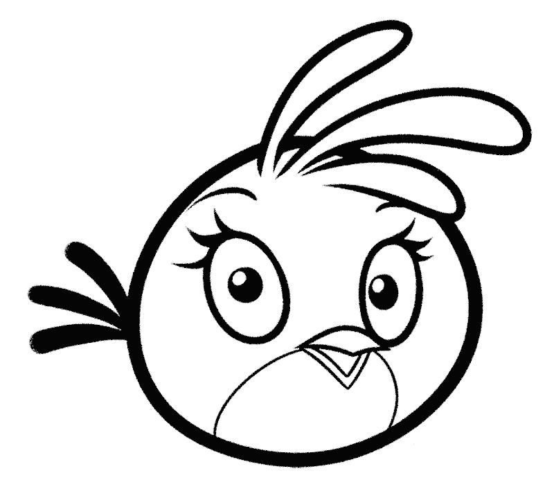 gambar angry bird
