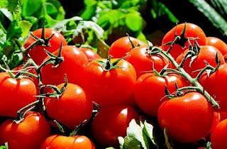 Tomato benefits for skin whitening