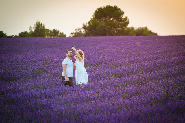 Valensole-Campi di lavanda al tramonto