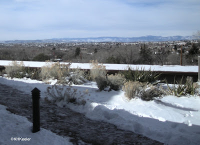 landscape, Larimer County Colorado, December