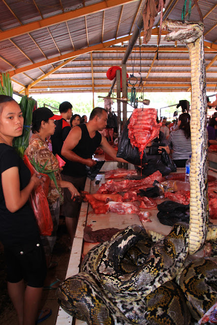 Heboh di Pasar Ekstrem Tomohon, Ada yang Jual Daging Ular Piton 'Raksasa'