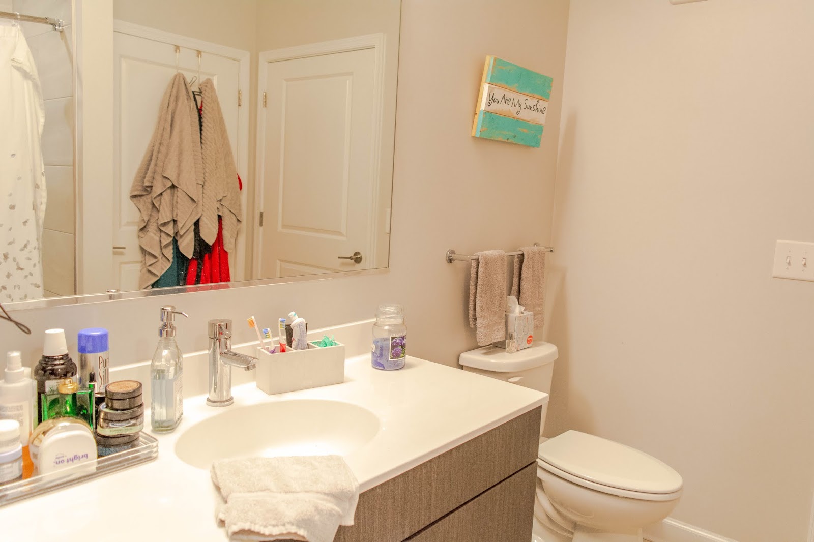 Falls Church Apartment Tour: Bedroom, Bathroom & Closet