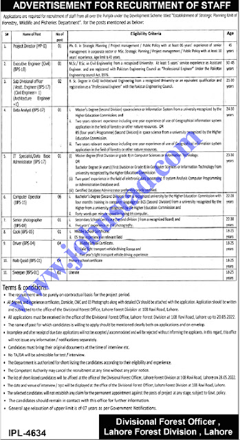 Latest Forestry Wildlife and Fisheries Department Punjab-Jobs-May-2022