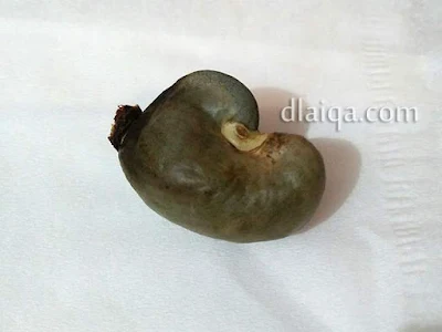 biji sudah dilepas dari buah