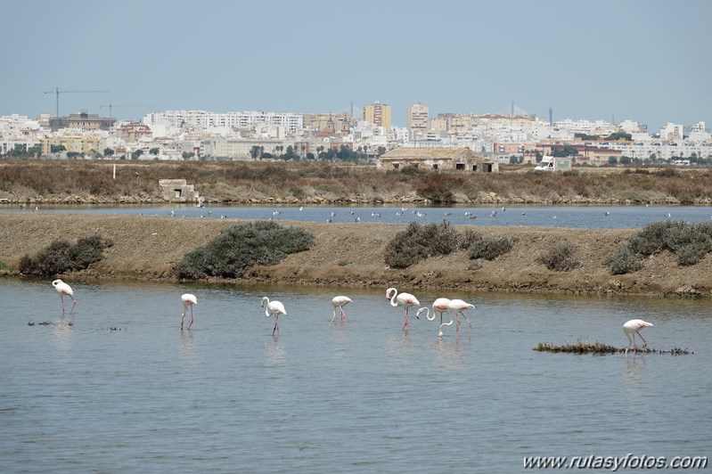 Ruta de los Esteros (Chiclana)