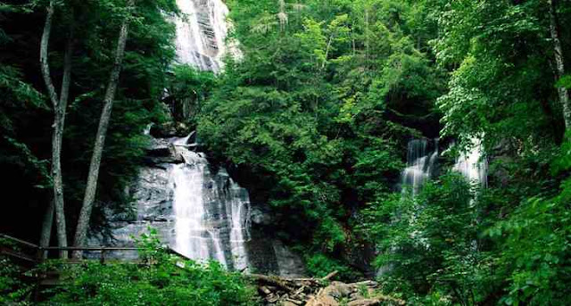 Pemandangan Indah Hutan Pulau Kalimantan