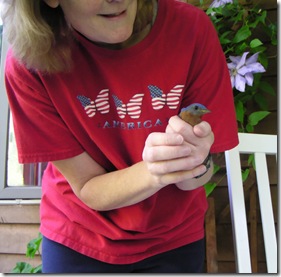 A Bird In Hand