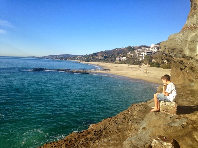 photo 1 (35)