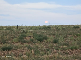 Moon rise over the prairie