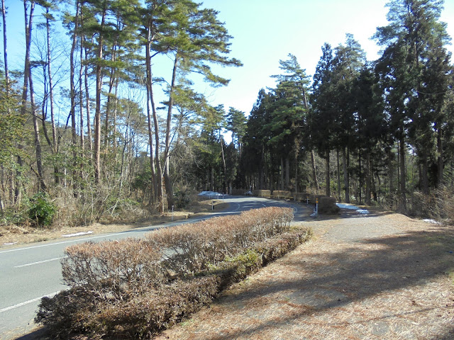 ロイヤルホテルの歩道