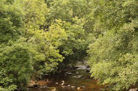 Castle Drogo and Fingle bridge walk