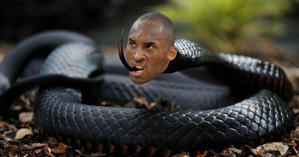 The Basketball Machine: Kobe Bryant hisses like snake when he he plays