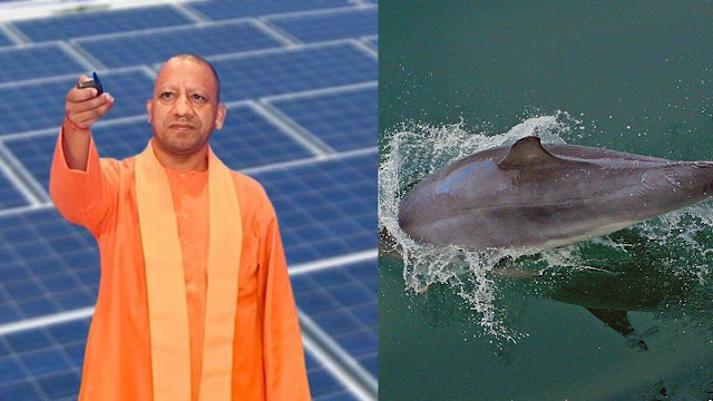 டால்ஃபினை மாநில நீர்வாழ் விலங்காக அறிவித்த முதல்வர் யோகி ஆதித்யநாத் / Chief Minister Yogi Adityanath announced the dolphin as the state aquatic animal