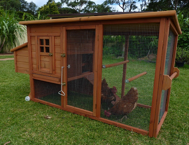 Looking for Chicken coop plans for 3 chickens | Venpa