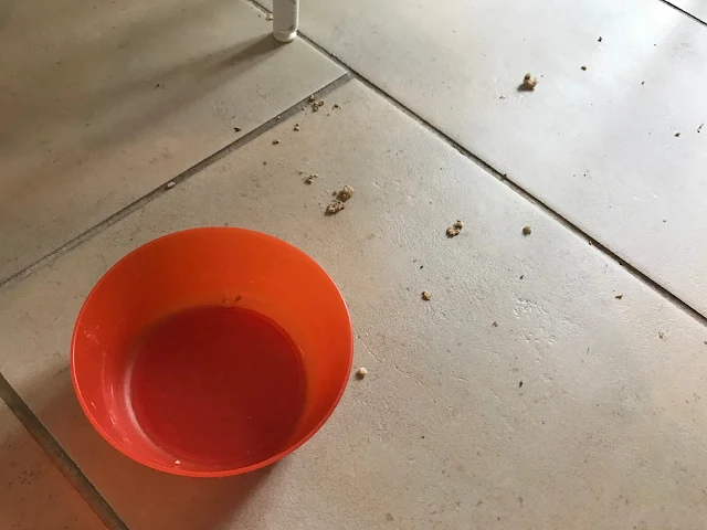 Cream tiles, an empty orange ikea bowl and cereal scattered across the floor