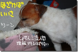 今日カズ１０１００１　３