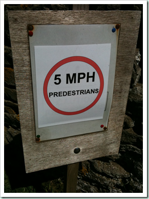 predestrians