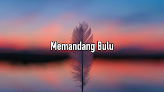 Memandang Bulu