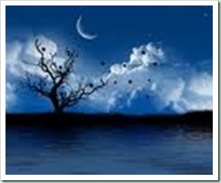 night