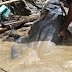 TERKUAK SUDAH....!!!!!! RAHASIA MENGAPA MELAYU BRUNAI TIDAK MEMAKAN IKAN PATIN TERNYATA ADA KISAH TERTENTU...??????
