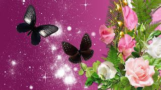 Wallpapers de Mariposas