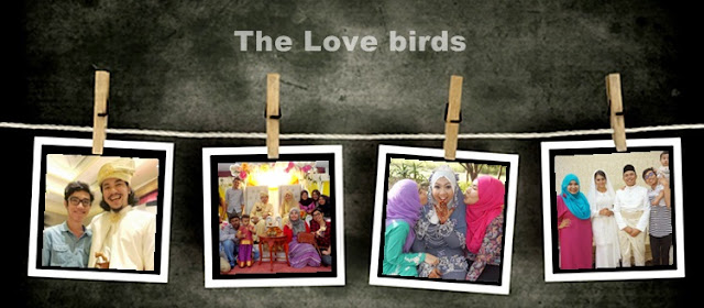 http://enna-banana.blogspot.com/2015/01/2014-love-birds.html