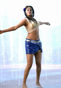 Priyamani Hot and Sexy Wet Photos, Wet Saree