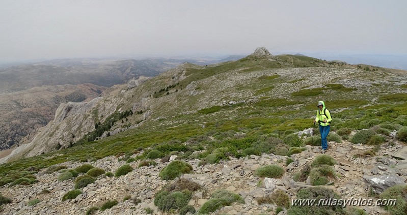 Quejigales-Tajo del Canalizo-Enamorados-Cerro Alto