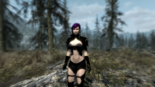 Custom armor for The Elder Scrolls V Skyrim