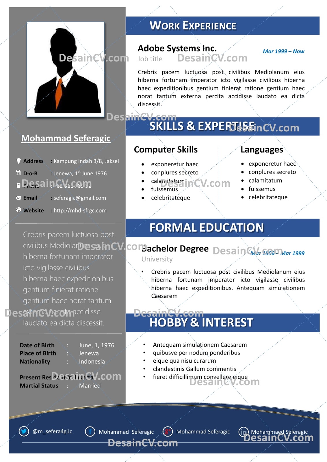 Professional - Contoh Curriculum Vitae / Resume Template