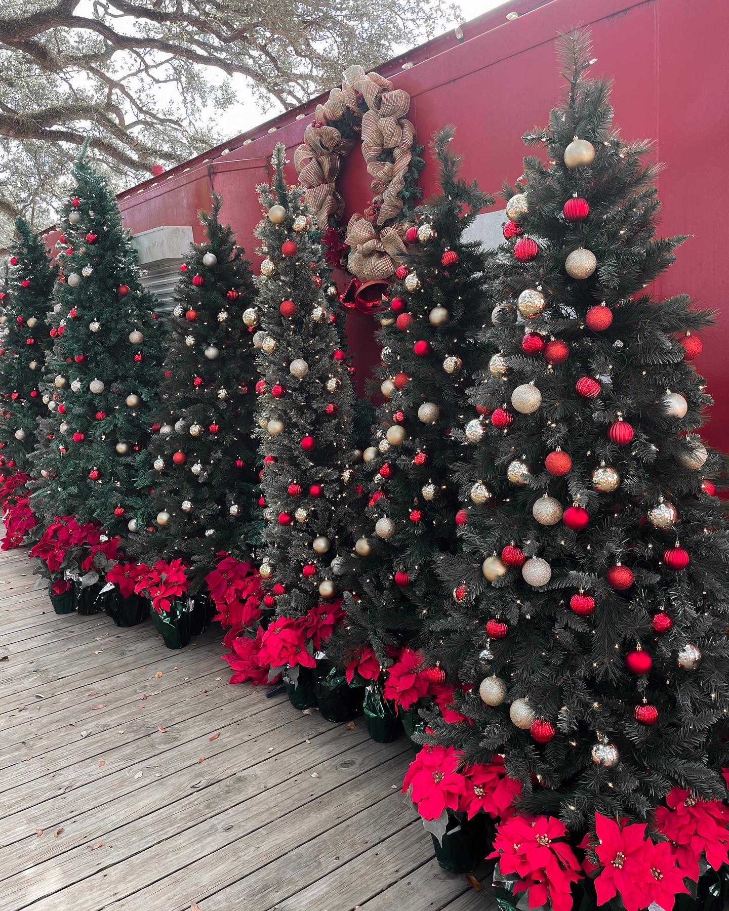 Christmas trees at League Park in League City