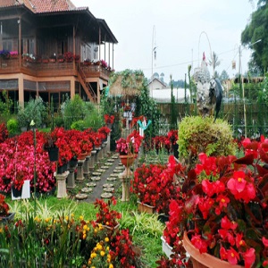 Tempat Wisata di Kota Bandung dan Sekitarnya